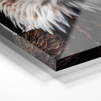 Gros plan de la matière : le tirage sous verre acrylique, tranche transparente visible.