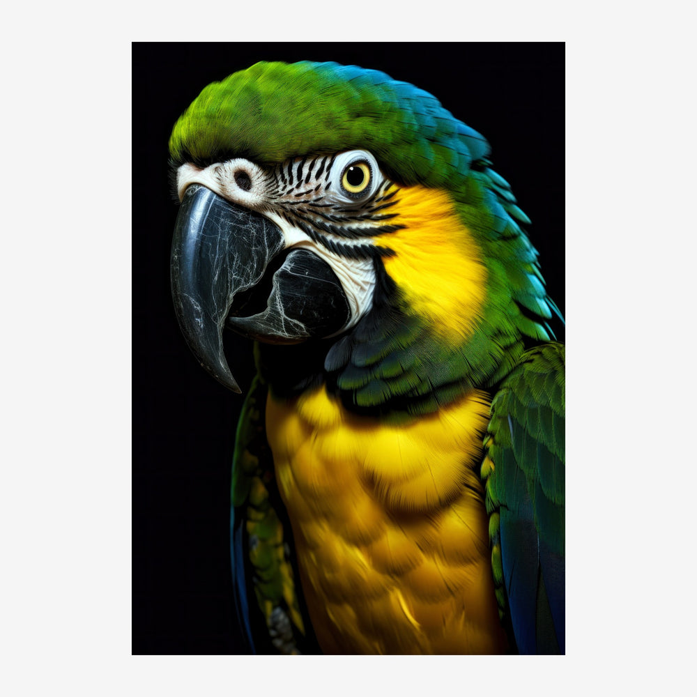 Gros plan d'un ara au plumage vert et jaune, regardant vers la gauche sur un fond noir.