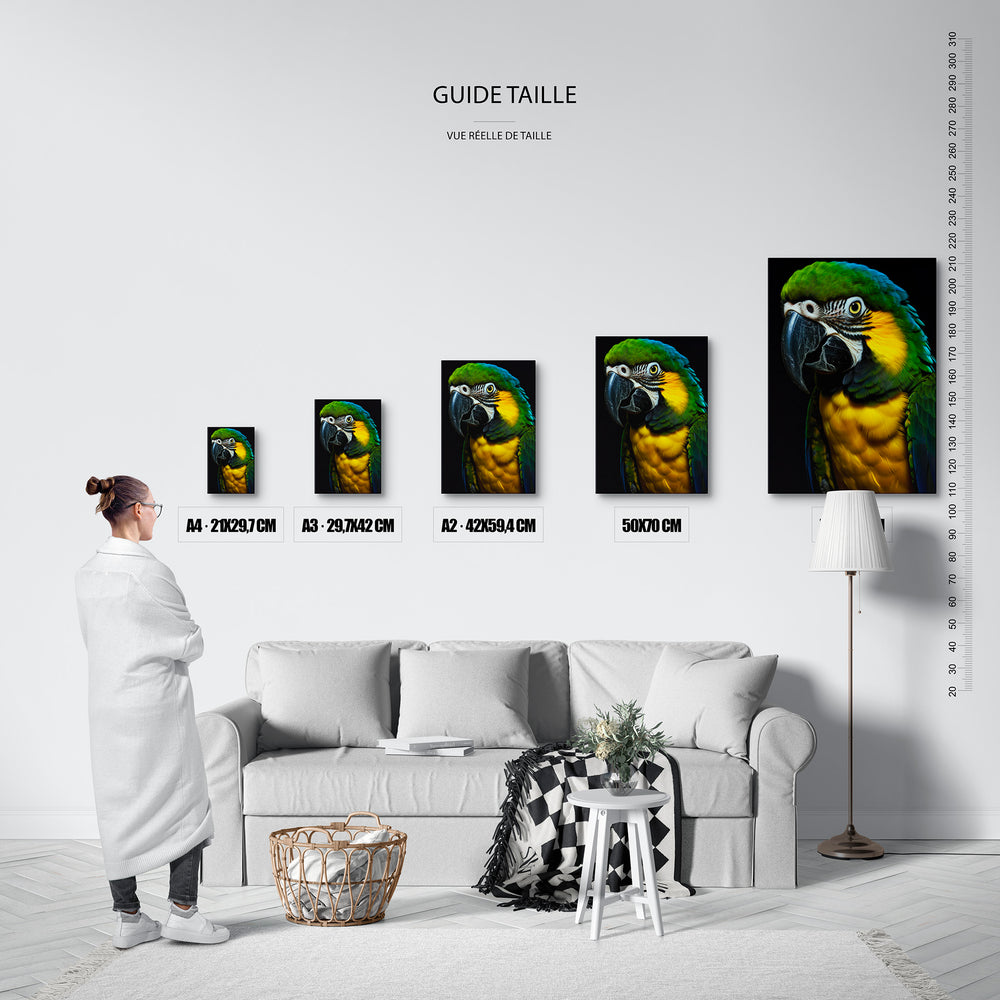 Le tableau, vue guide_taille.