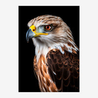 Portrait en gros plan d'un aigle royal de profil sur fond noir, avec plumage blanc et marron, œil ambre et bec jaune vif.