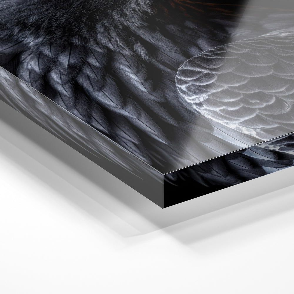 Gros plan de la matière : le tirage sous verre acrylique, tranche transparente visible.