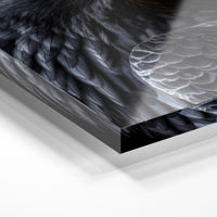 Gros plan de la matière : le tirage sous verre acrylique, tranche transparente visible.
