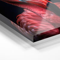 Gros plan de la matière : le tirage sous verre acrylique, tranche transparente visible.