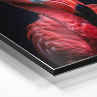 Gros plan de la matière : le tirage contrecollé sur aluminium Dibond mat, tranche visible.