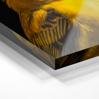 Gros plan de la matière : le tirage sous verre acrylique, tranche transparente visible.