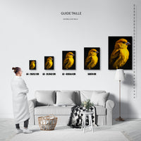 Le tableau, vue guide_taille.
