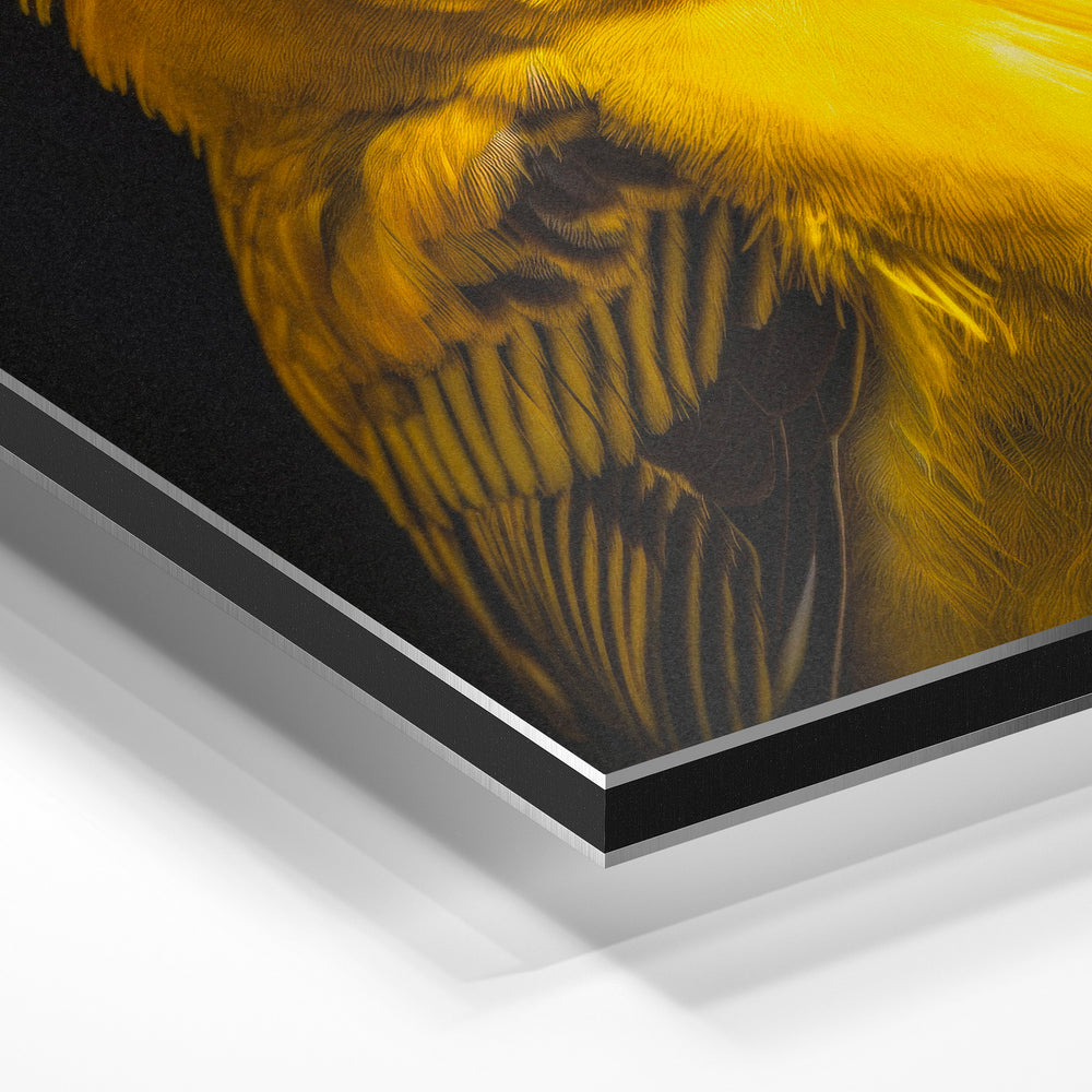 Gros plan de la matière : le tirage contrecollé sur aluminium Dibond mat, tranche visible.