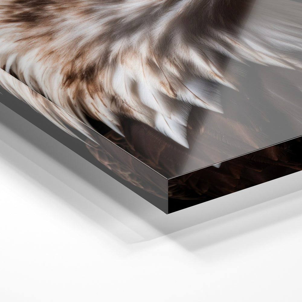 Gros plan de la matière : le tirage sous verre acrylique, tranche transparente visible.