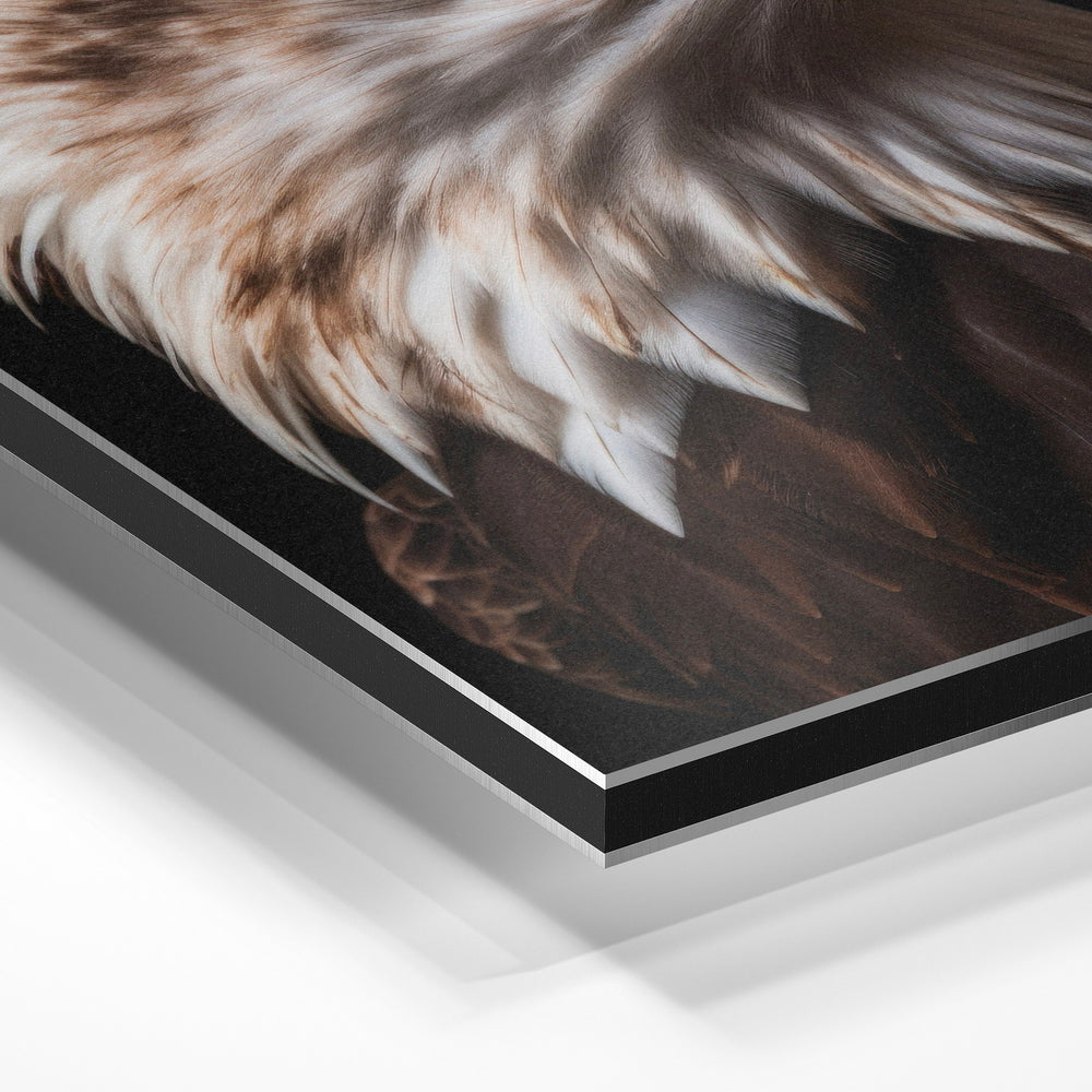 Gros plan de la matière : le tirage contrecollé sur aluminium Dibond mat, tranche visible.