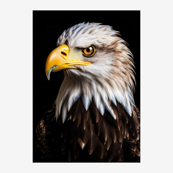 Aigle royal blanc et noir, regard perçant — Toile sur châssis