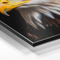 Gros plan de la matière : le tirage contrecollé sur aluminium Dibond mat, tranche visible.