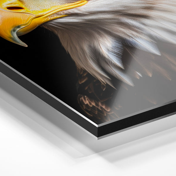 Aigle royal blanc et noir, regard perçant — Aluminium Dibond relief 3D