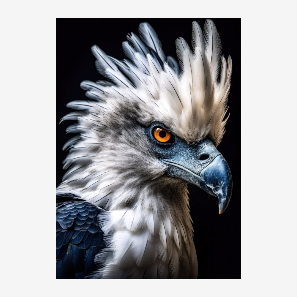 Portrait en gros plan d'un aigle de profil sur fond noir, avec un plumage blanc et gris, un œil orange vif, et un bec bleu.