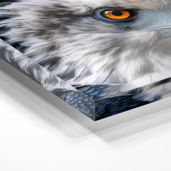 Portrait d'aigle aux yeux dorés, noir et blanc — Verre acrylique