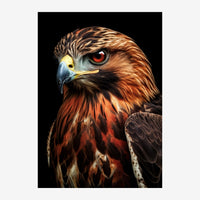 Portrait d'un aigle aux yeux rouges intenses, plumage roux et noir sur fond noir, profil trois-quarts.