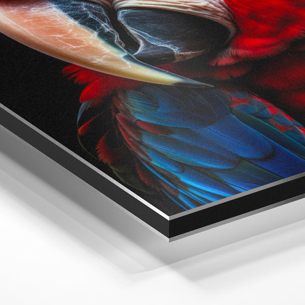 Portrait de macaw rouge et bleu, style pop art — Aluminium Dibond