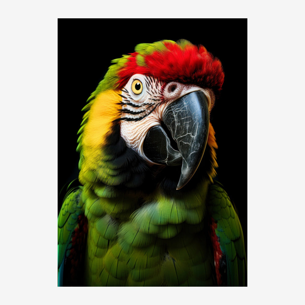 Portait rapproché d'un ara aux plumes rouges vif sur la tête, vert et jaune sur le corps, avec un œil doré intense, sur un.