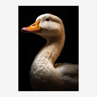 Portrait en gros plan d'une oie blanche et crème au bec orange vif, photographiée de profil sur un fond noir uni.
