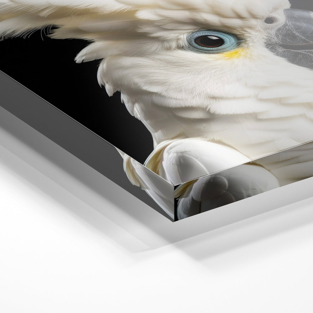Gros plan de la matière : le tirage sous verre acrylique, tranche transparente visible.
