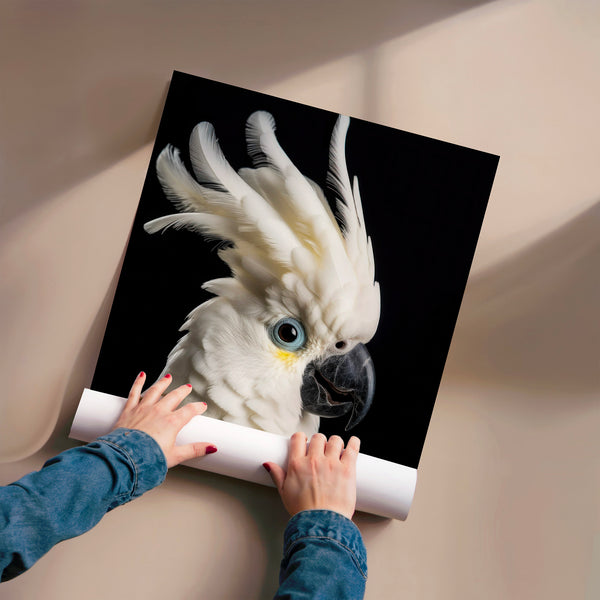 Cacatoès blanc et noir, portrait d'oiseau — Poster HP mat