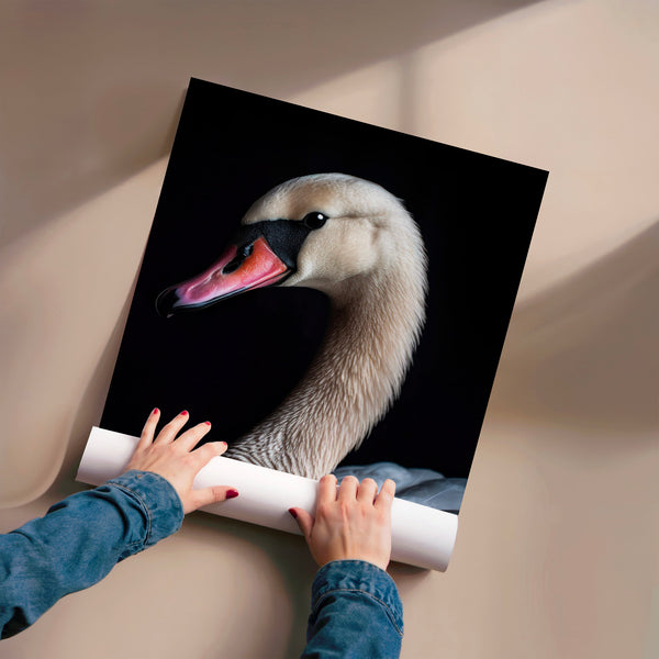 Cygne blanc et noir, portrait animalier minimaliste — Poster HP mat