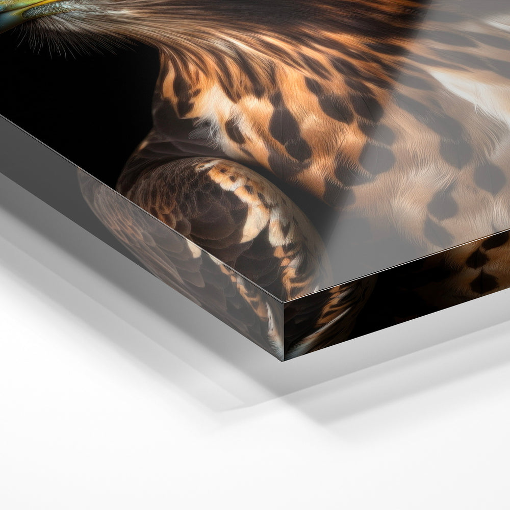 Gros plan de la matière : le tirage sous verre acrylique, tranche transparente visible.