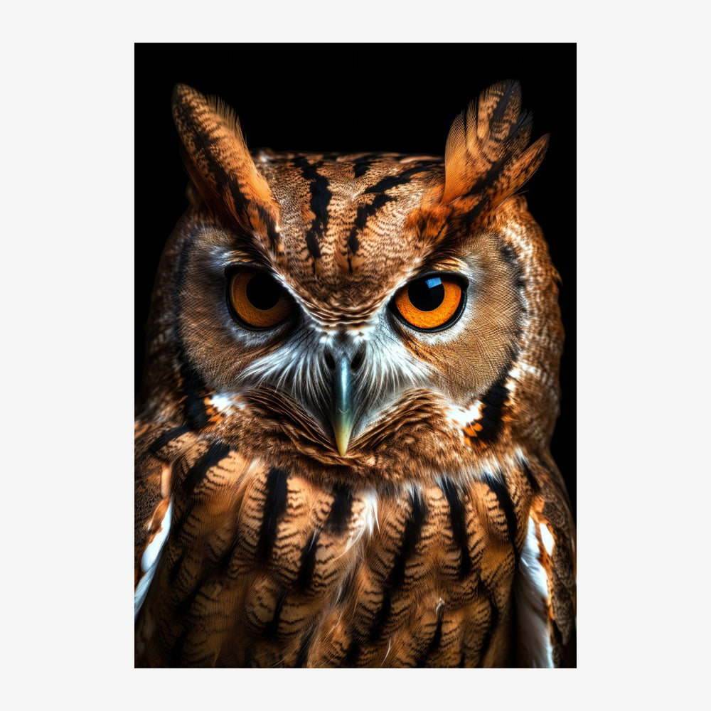 Portrait rapproché d'une chouette effraie aux yeux ambrés intenses, plumage brun roux et blanc sur fond noir.