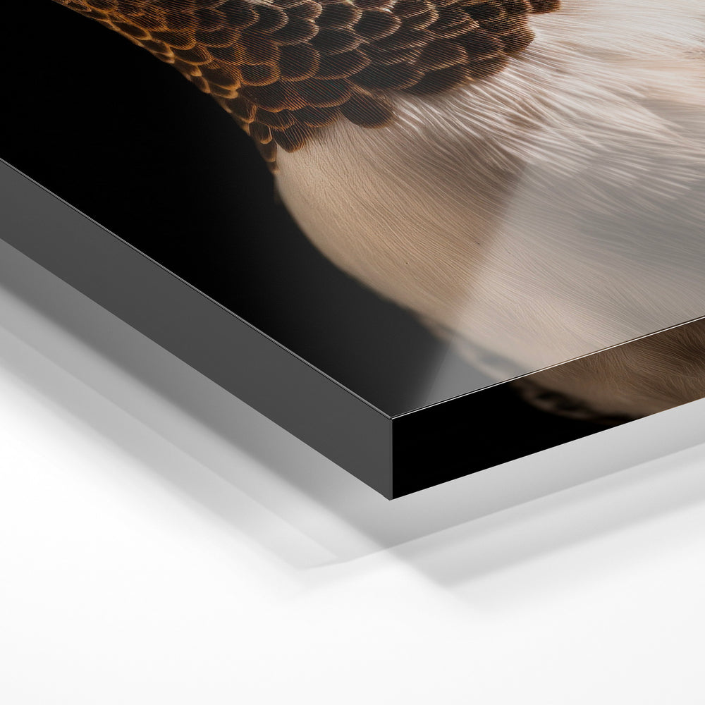 Gros plan de la matière : le tirage sous verre acrylique, tranche transparente visible.