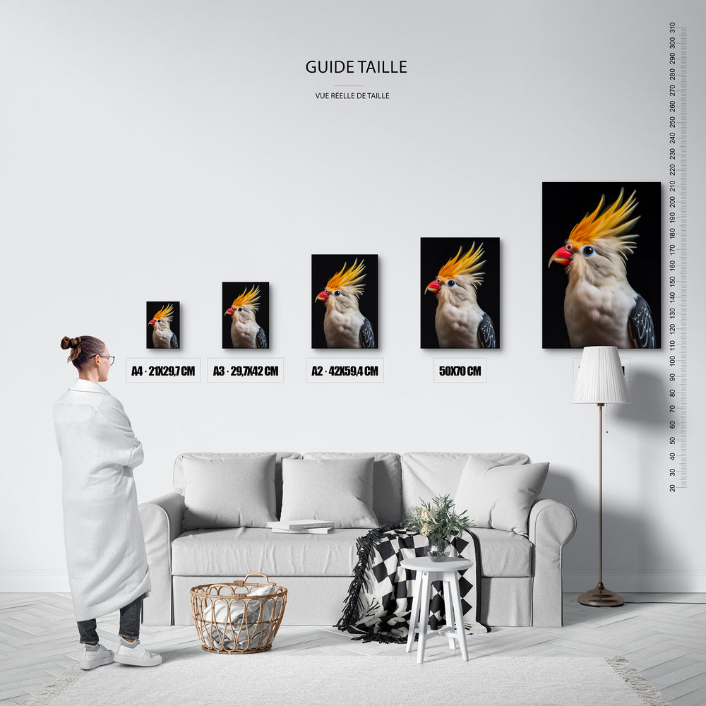 Le tableau, vue guide_taille.