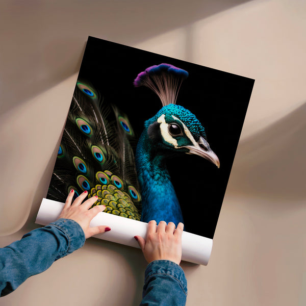 Paon bleu turquoise, portrait noir et blanc — Poster HP mat