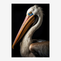 Portrait en gros plan d'un pélican aux plumes blanches et noires, au bec ocre et rose tacheté de bleu, sur fond noir.