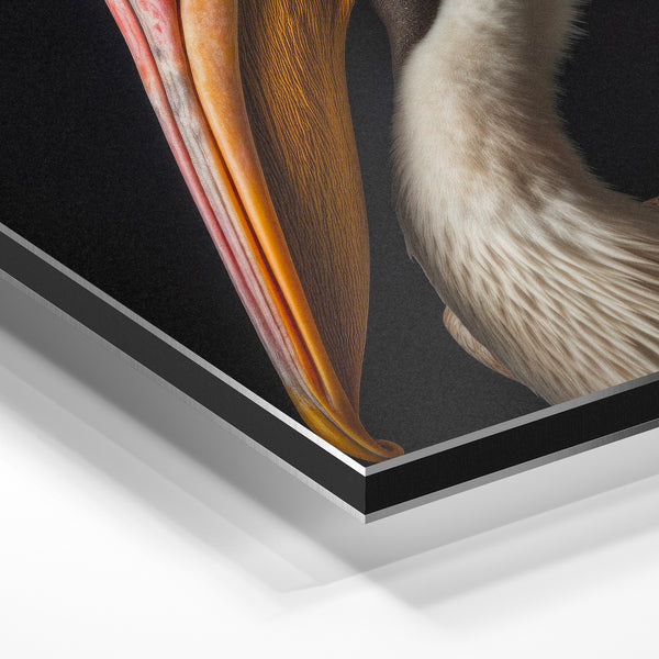 Portrait de pélican – graphique noir et blanc — Aluminium Dibond