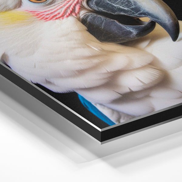 Perroquet blanc et bleu, portrait noir et blanc — Aluminium Dibond