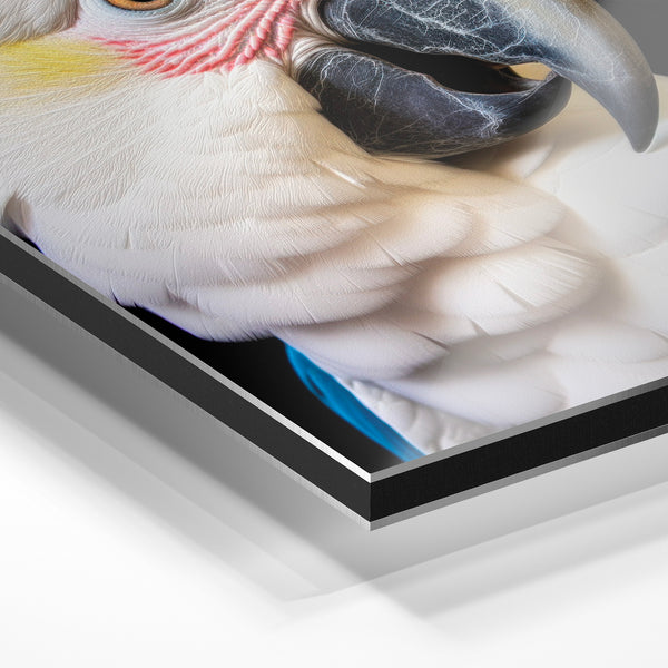 Perroquet blanc et bleu, portrait noir et blanc — Aluminium Dibond relief 3D