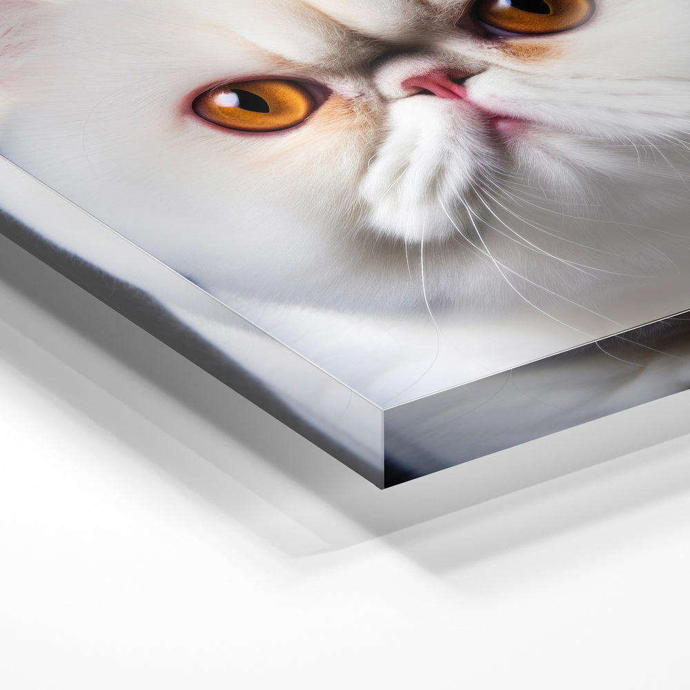 Gros plan de la matière : le tirage sous verre acrylique, tranche transparente visible.