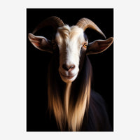 Portrait en gros plan d'une chèvre aux cornes spiralées et à la barbe longue, pelage blanc et brun, fond noir.