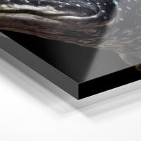 Gros plan de la matière : le tirage sous verre acrylique, tranche transparente visible.