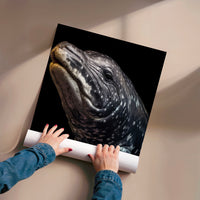 L'impression présentée en poster, sans encadrement, sur un mur neutre.