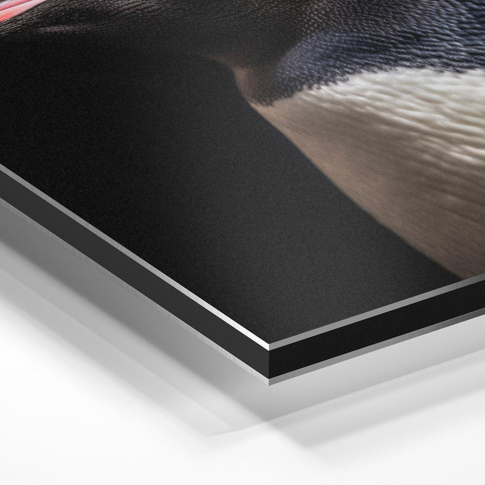 Gros plan de la matière : le tirage contrecollé sur aluminium Dibond mat, tranche visible.