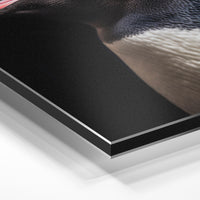 Gros plan de la matière : le tirage contrecollé sur aluminium Dibond mat, tranche visible.