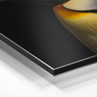 Gros plan de la matière : le tirage contrecollé sur aluminium Dibond mat, tranche visible.