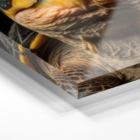 Gros plan de la matière : le tirage sous verre acrylique, tranche transparente visible.