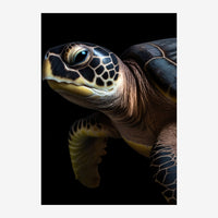 Portrait rapproché d'une tortue marine de face sur fond noir, mettant en évidence ses écailles, son œil bleu et ses rides.
