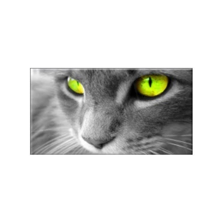 Tableau Tendance Chat aux Yeux Verts