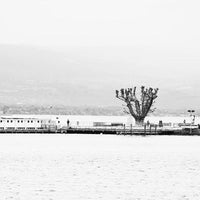 Lake Geneva aluminum landscape art photograph
