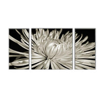 White Flower Decorative Art Print