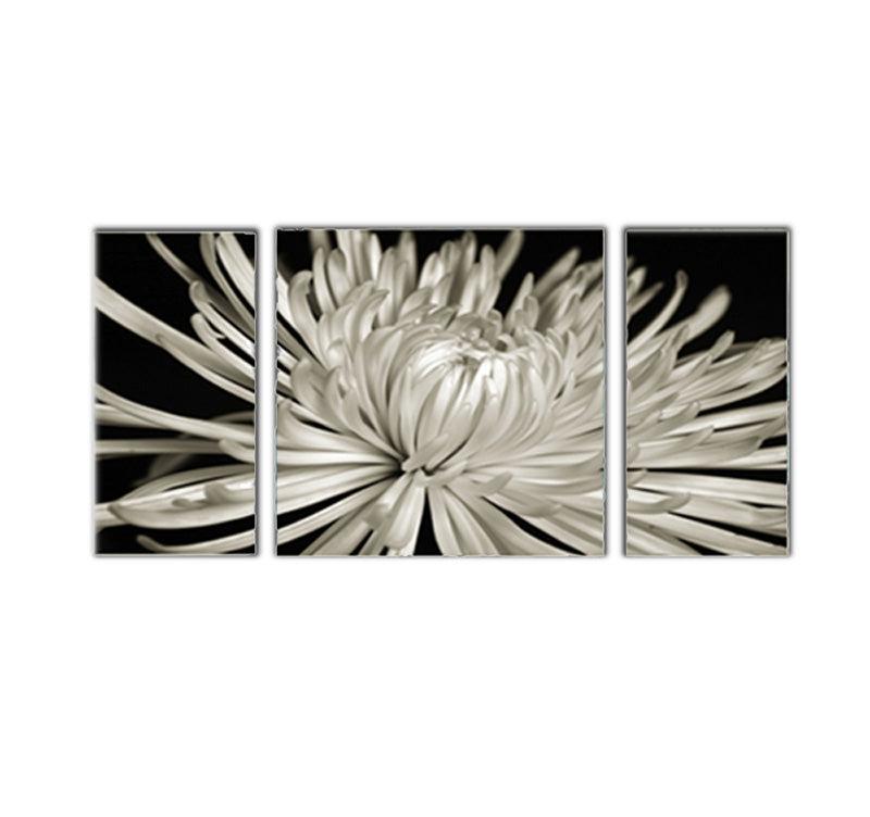 White Flower Decorative Art Print
