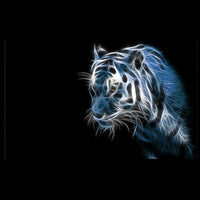 Tableau Deco Esprit du Tigre