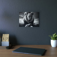 Lion calme de nuit- Tableau aluminium