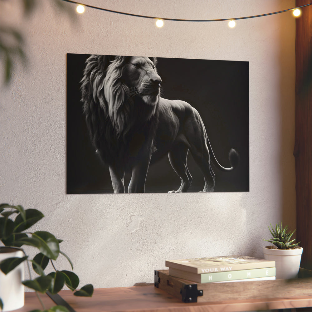 Lion dans la nuit - Tableau aluminium